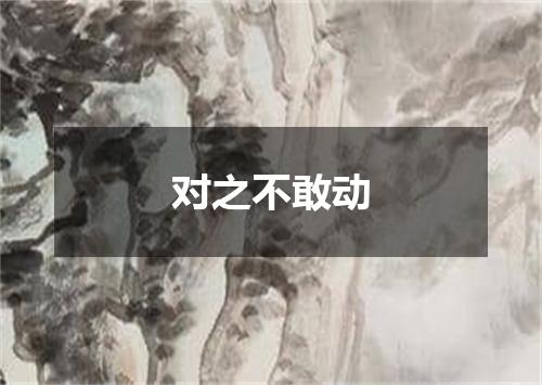 对之不敢动