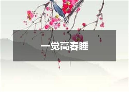一觉高舂睡
