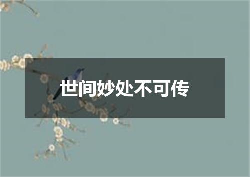 世间妙处不可传