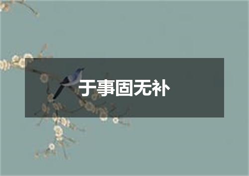 于事固无补