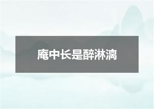 庵中长是醉淋漓