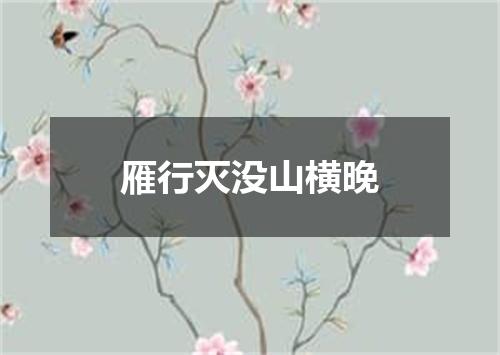 雁行灭没山横晚