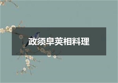 政须皁荚相料理