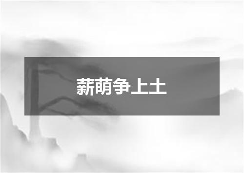 薪萌争上土