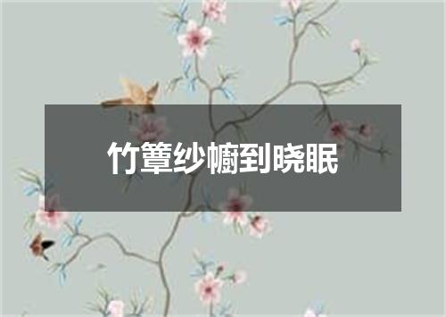 竹簟纱幮到晓眠