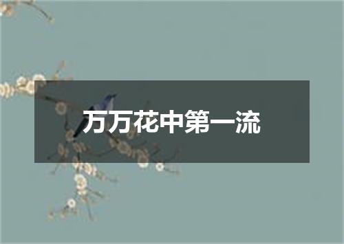 万万花中第一流