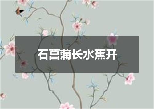 石菖蒲长水蕉开