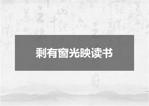 剩有窗光映读书