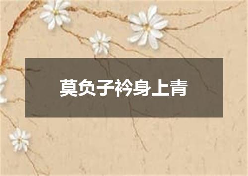 莫负子衿身上青