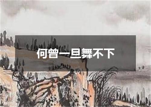 何曾一旦舞不下