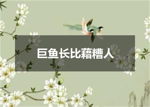 巨鱼长比藉糟人