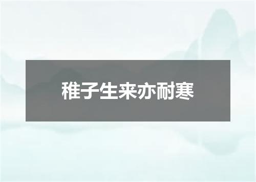 稚子生来亦耐寒