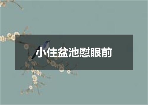 小住盆池慰眼前
