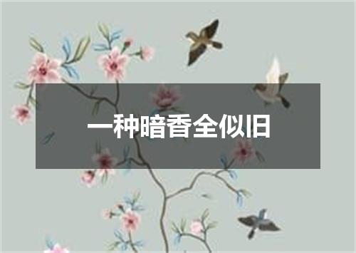 一种暗香全似旧