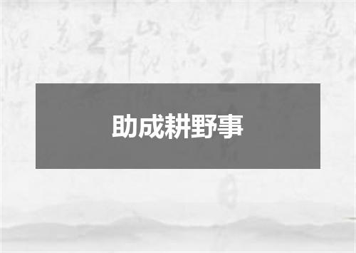 助成耕野事