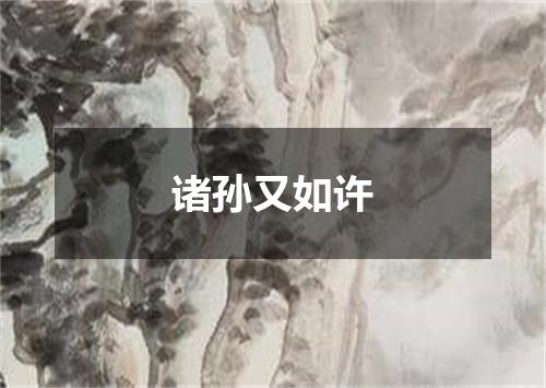 诸孙又如许