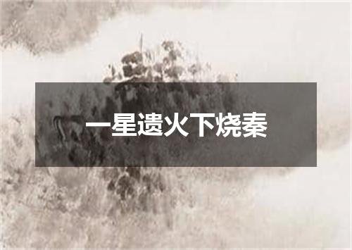 一星遗火下烧秦