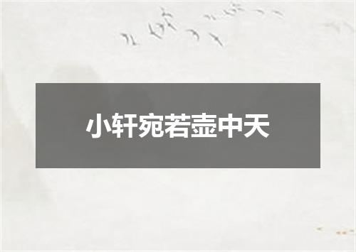 小轩宛若壶中天