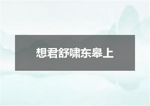 想君舒啸东皋上
