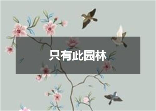 只有此园林