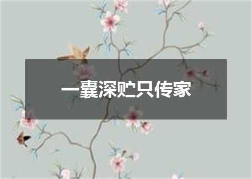 一囊深贮只传家