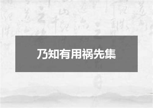 乃知有用祸先集