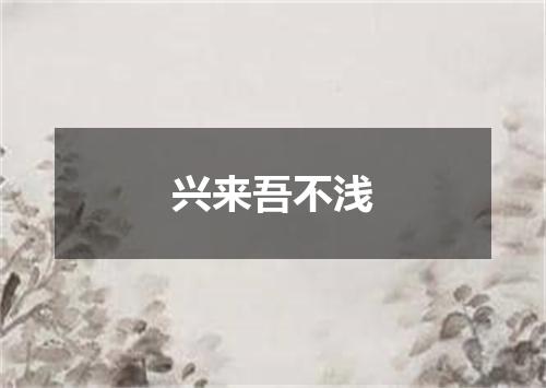 兴来吾不浅