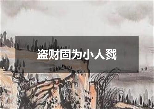 盗财固为小人戮