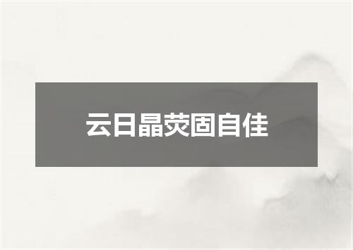 云日晶荧固自佳