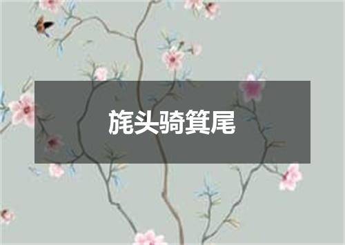 旄头骑箕尾