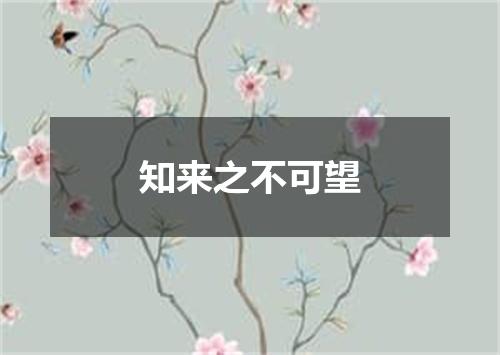 知来之不可望