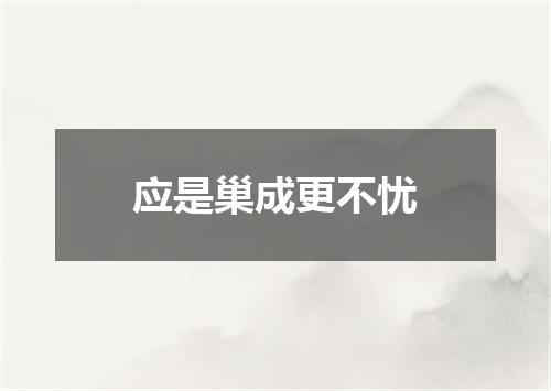 应是巢成更不忧