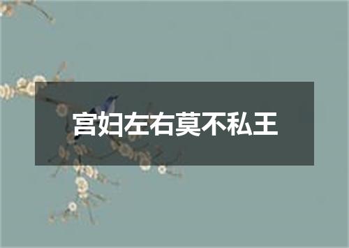 宫妇左右莫不私王