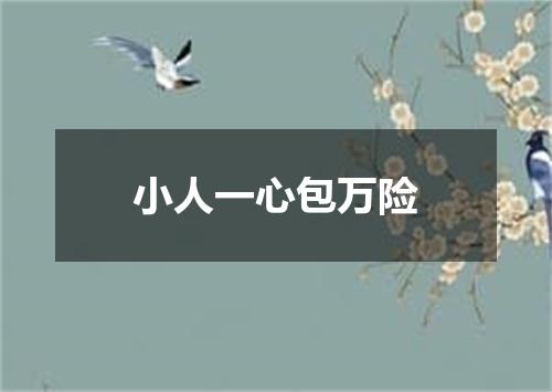 小人一心包万险