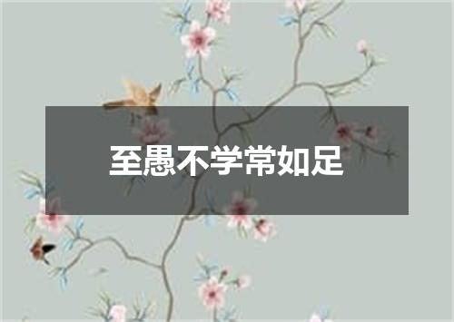 至愚不学常如足
