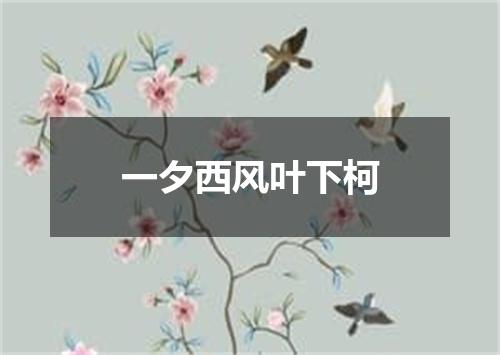 一夕西风叶下柯