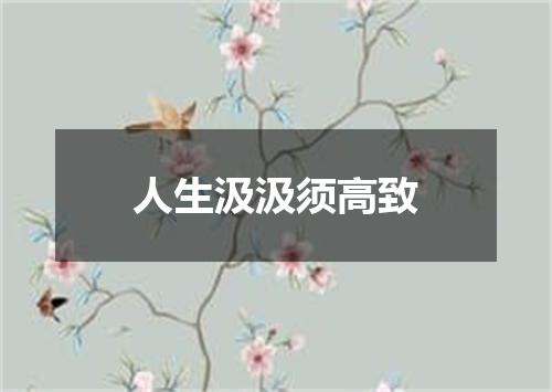 人生汲汲须高致