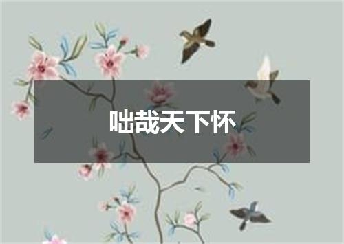 咄哉天下怀