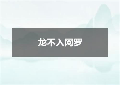 龙不入网罗