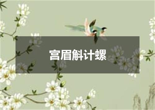 宫眉斛计螺