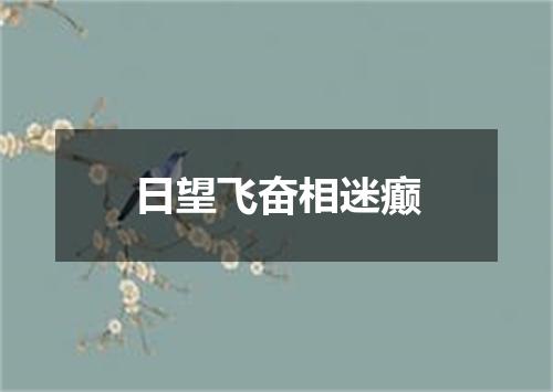 日望飞奋相迷癫