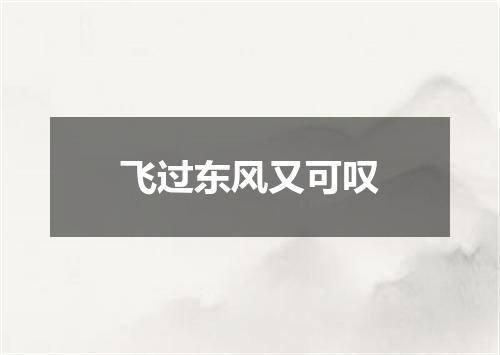 飞过东风又可叹