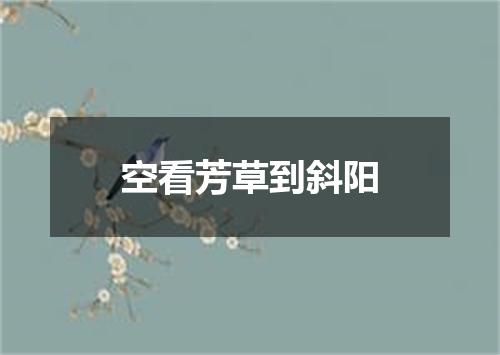 空看芳草到斜阳