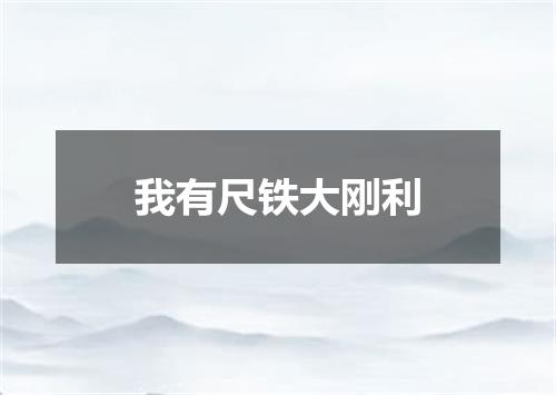 我有尺铁大刚利