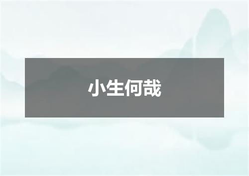 小生何哉