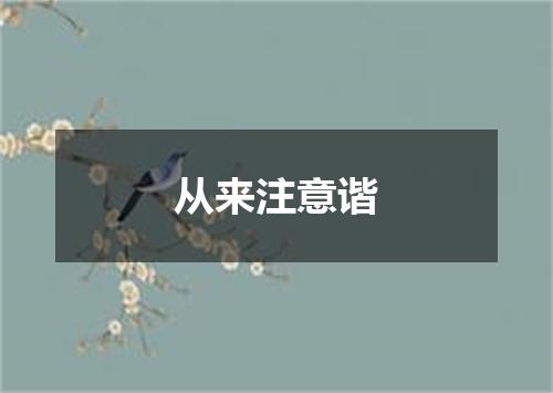 从来注意谐