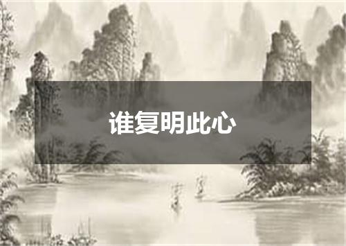 谁复明此心