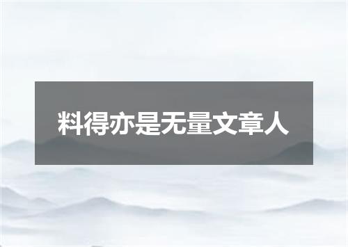 料得亦是无量文章人