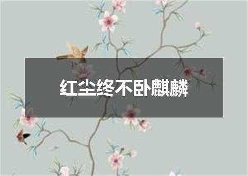 红尘终不卧麒麟