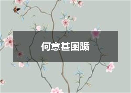何意甚困踬